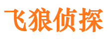 乐东侦探公司